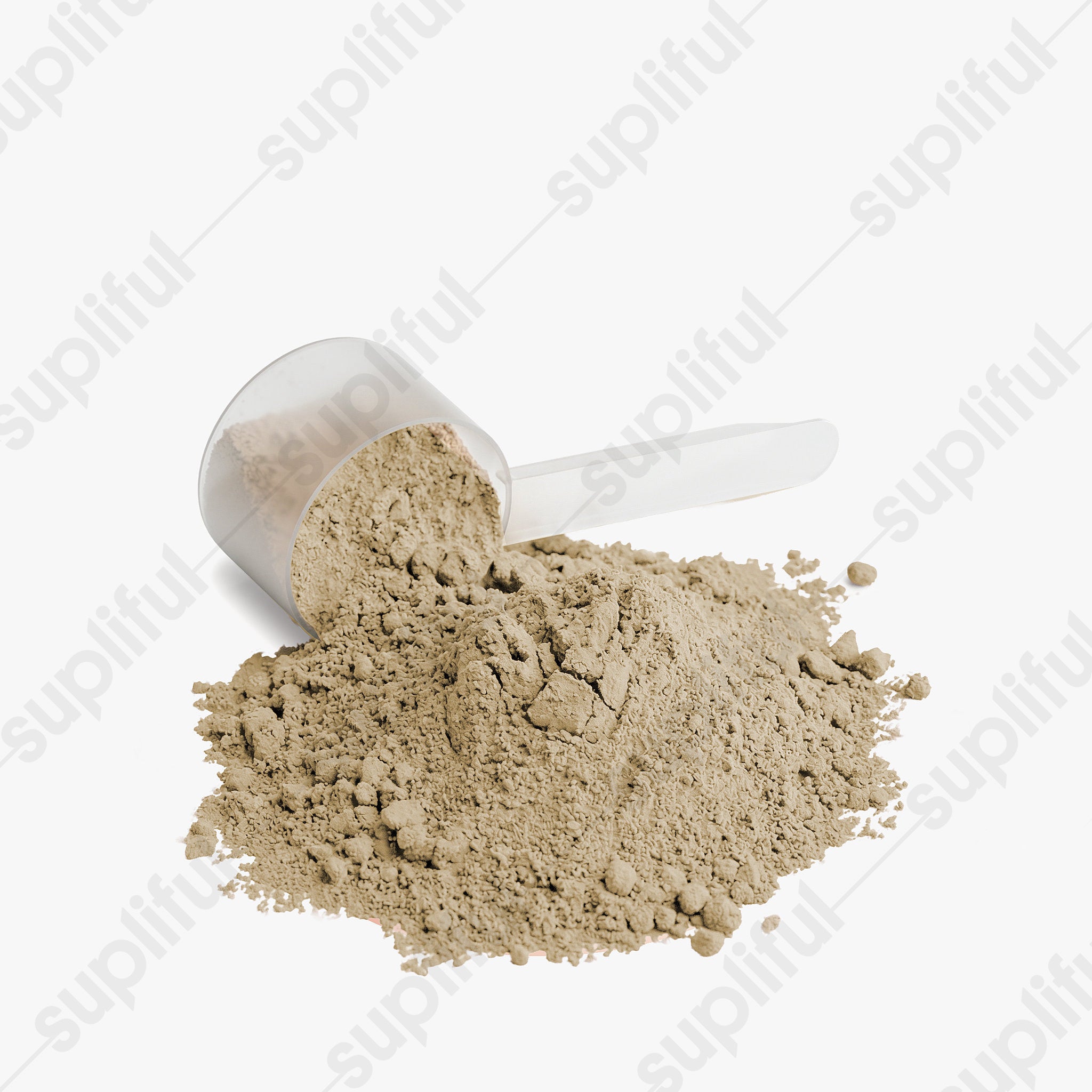 Capable Daily - Healthy Aging Protein (Creamy Vanilla)